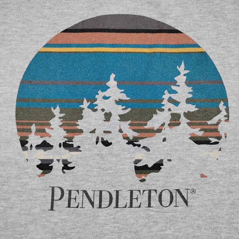 Pendleton Mens Gray Full Zip Hoodie Graphic Back Print Sweatshirt Size M